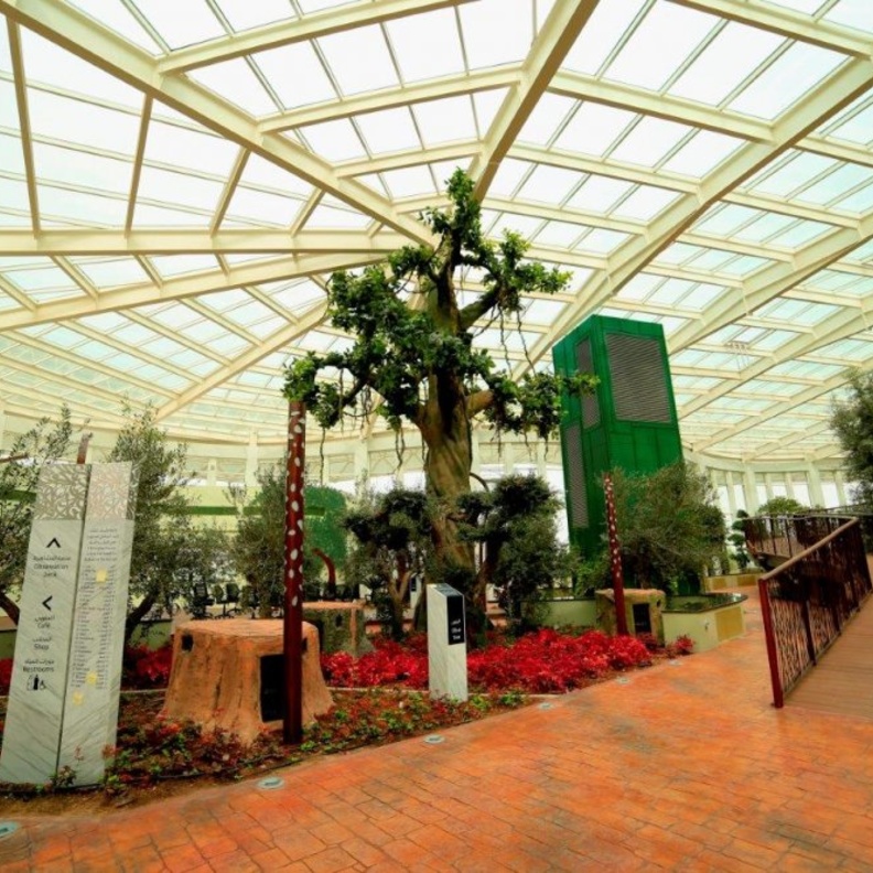 الحديقة القرآنية.. وجهة إماراتية ساحرة لعشاق الاسترخاء والاستجمام