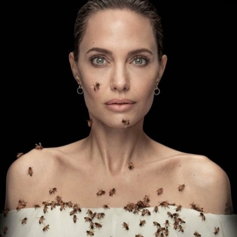 أنجلينا جولي مغطاة بالنحل