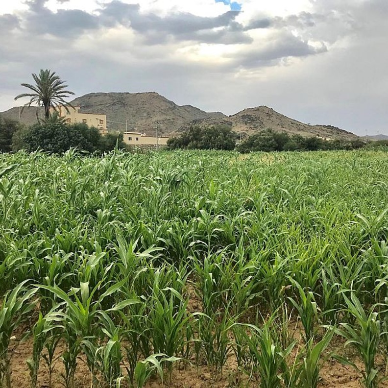 وادي العرين.. وجهة طبيعية ساحرة تأسر قلوب الزائرين في عسير - المصدر وكالة الأنباء السعودية