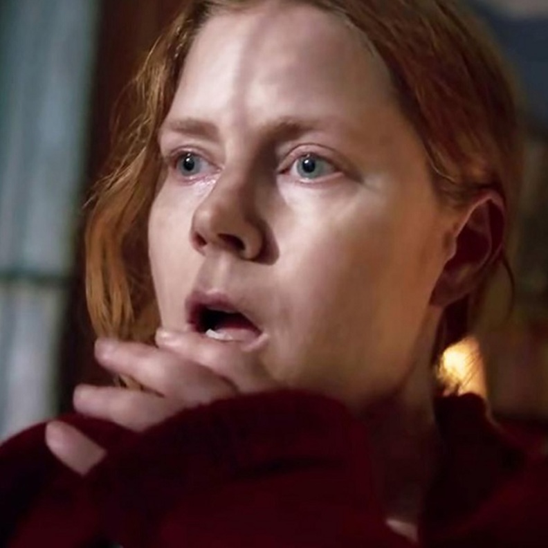 The Woman in the Window فيلم