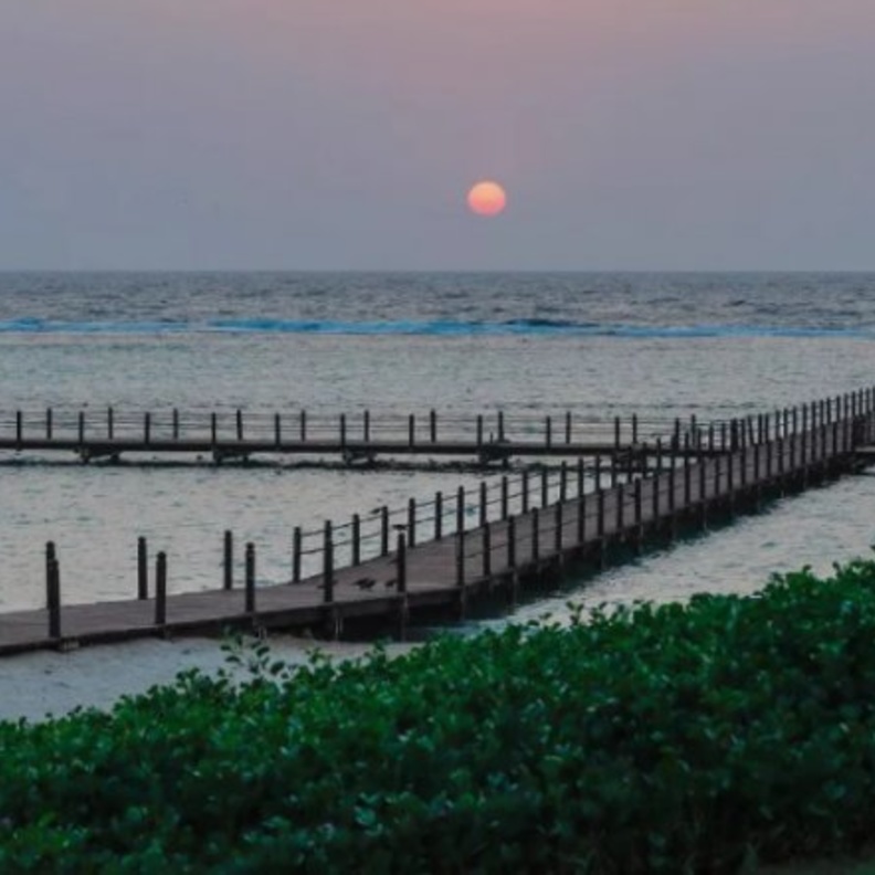 شاطئ يام.. وجهة بحرية ساحرة وفعاليات لجميع أفراد الأسرة بالسعودية - المصدر روح السعودية