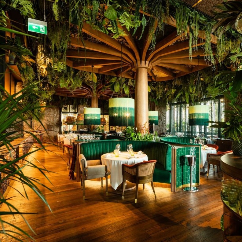 مطعم أمازونيكو Amazonico