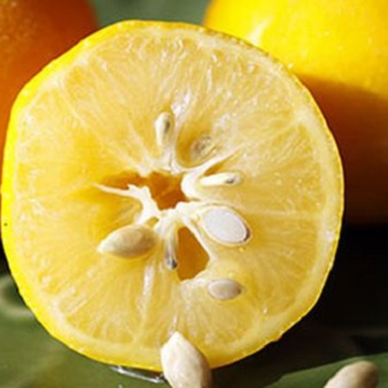  ماهي فوائد بذور الليمون للصحة