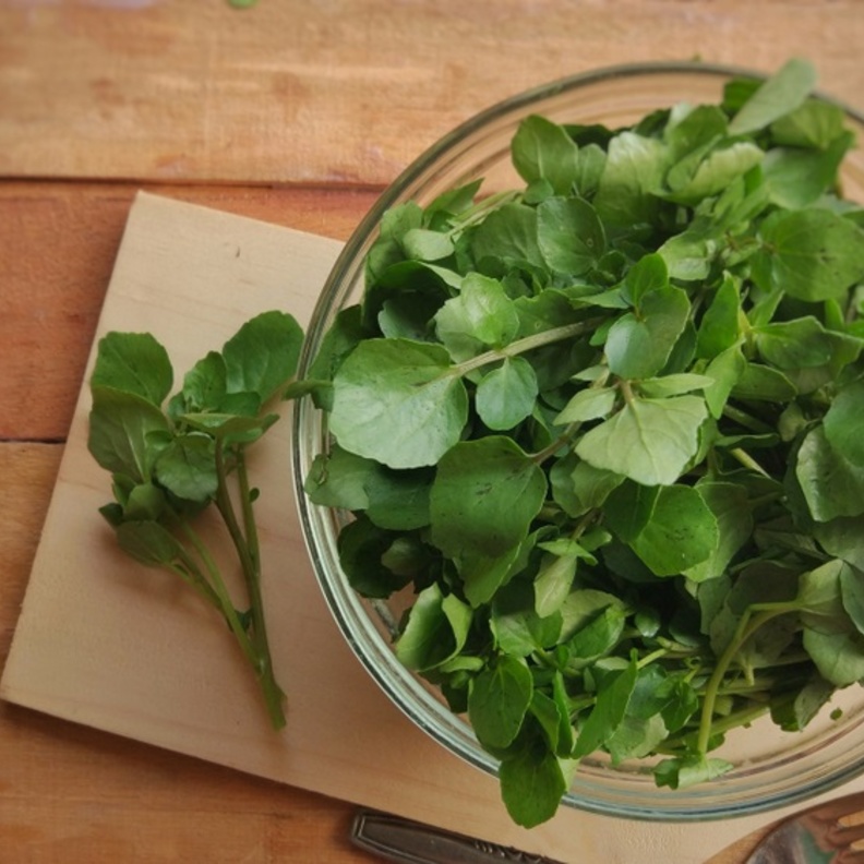  فوائد الجرجير في الوقاية من السرطان والحفاظ على صحة العظام