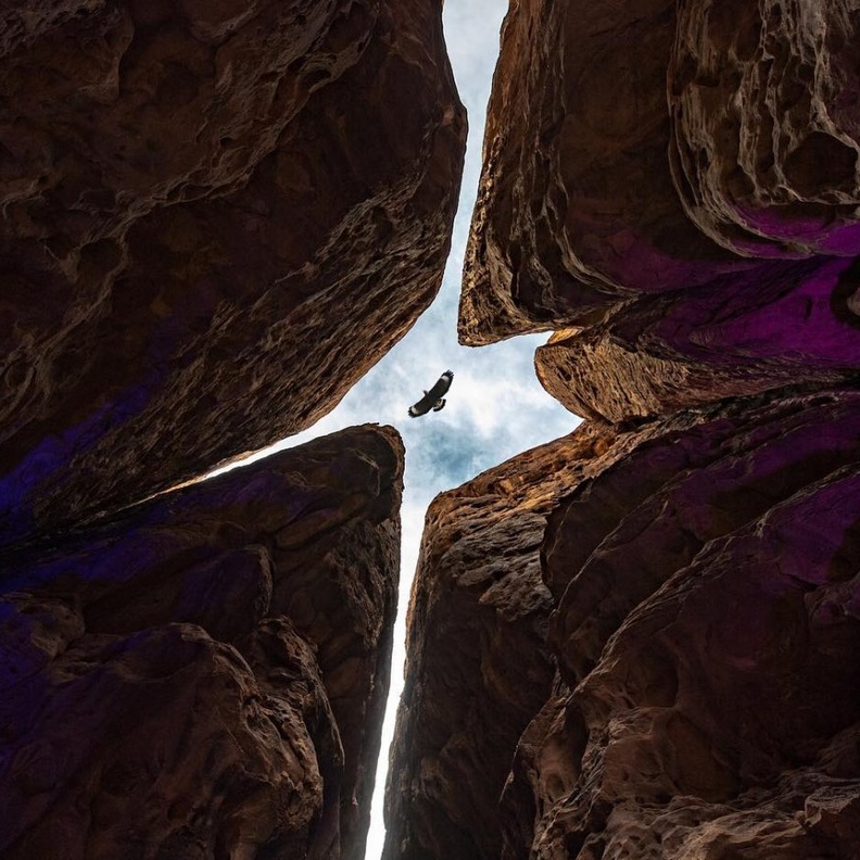 المصور السعودي محمد الجريبي.. موهبة مميزة تعكس إبداع ورونق الصورة 