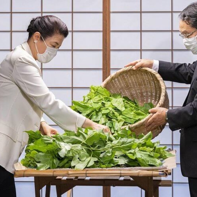 الإمبراطورة ماساكو تشارك في الاحتفال التقليدي بمزرعة دودة القز في القصر الإمبراطوري