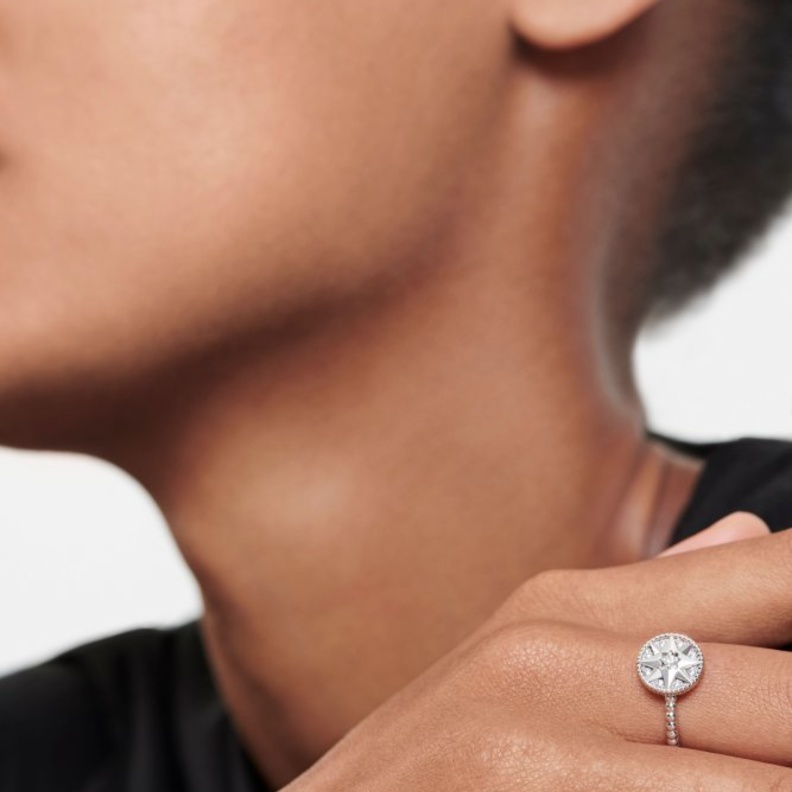 مجموعة Rose des Vents الأيقونية من Dior