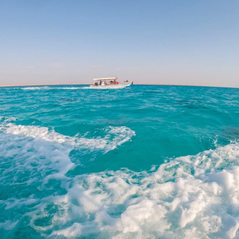 الوجه - المصدر حساب انستقرام مسارات @masaratclub