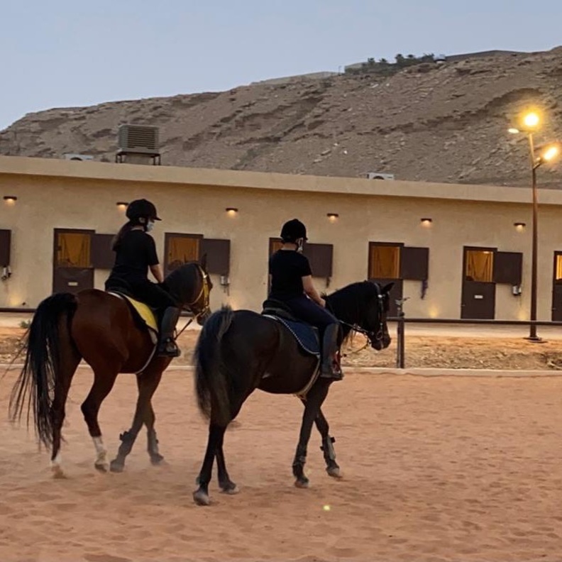 مركز منيرا للفروسية