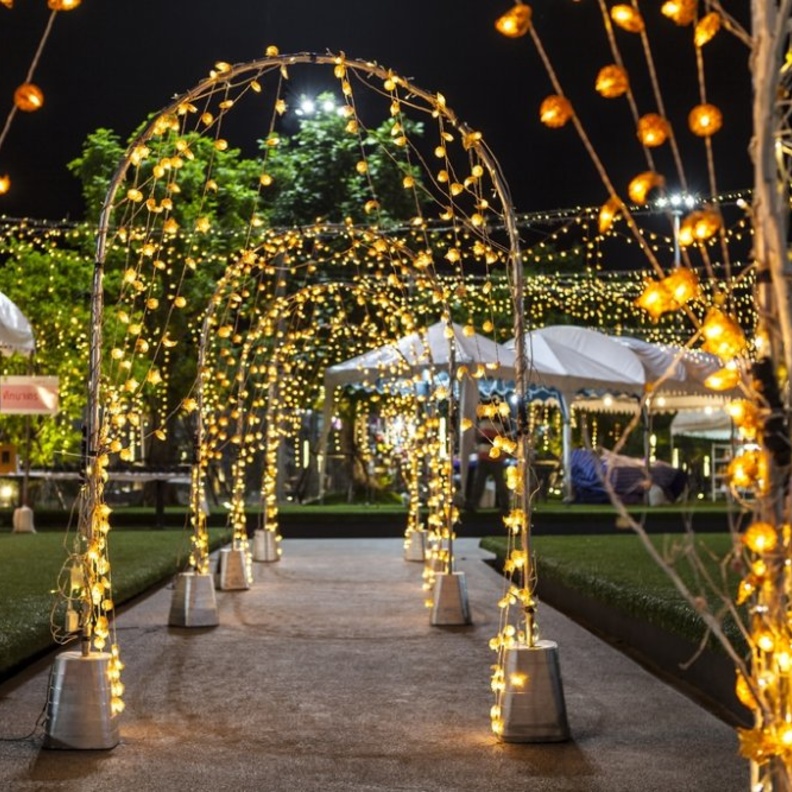  أضواء حفل الزفاف