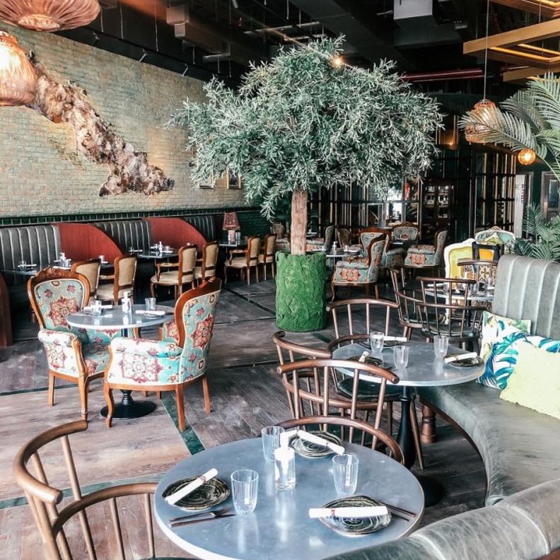 مطعم رومبا الكوبي يفتتح أبوابه في دبي