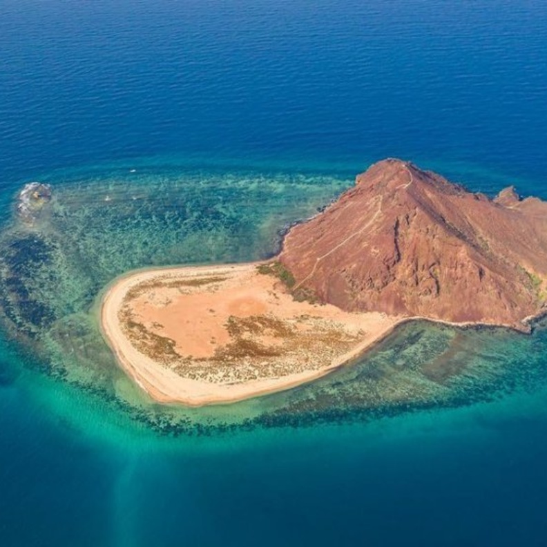 إبداع بين السحاب في أبها