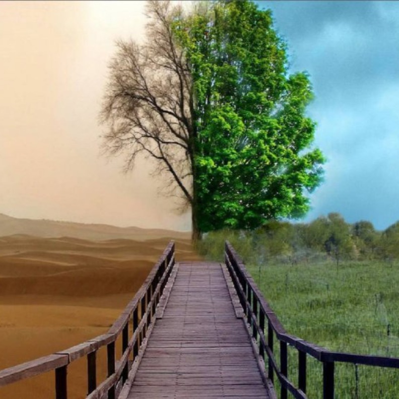 الصحراء تنبض بالحياة في المشروع المبتكر