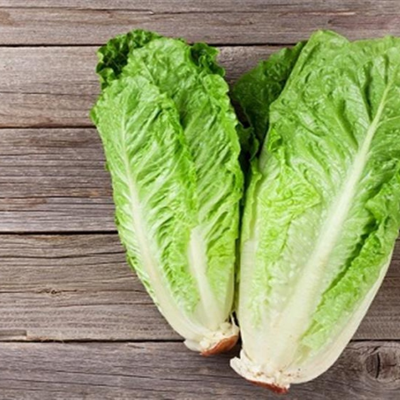 ماهي فوائد الخس القولون وكيف يطرد السموم من الجسم