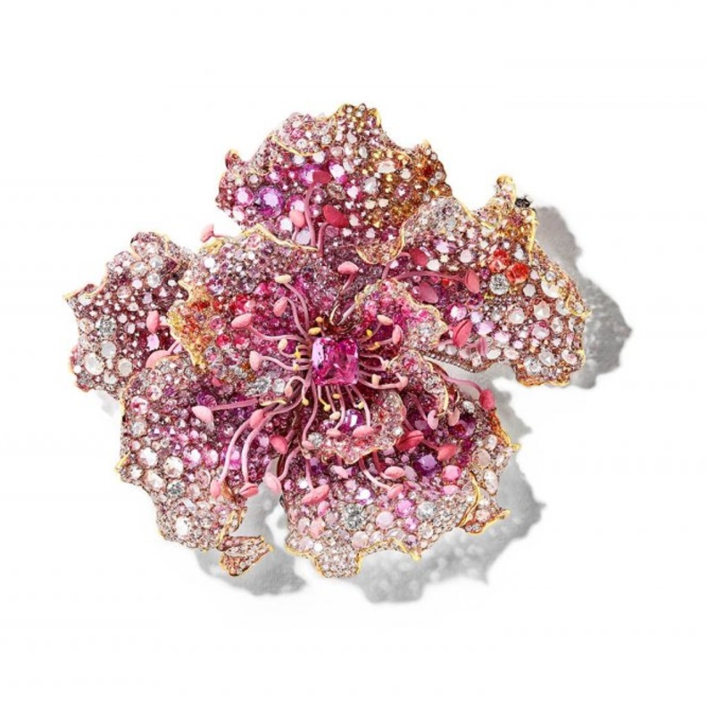 بروش من سيندي تشاو Cindy Chao