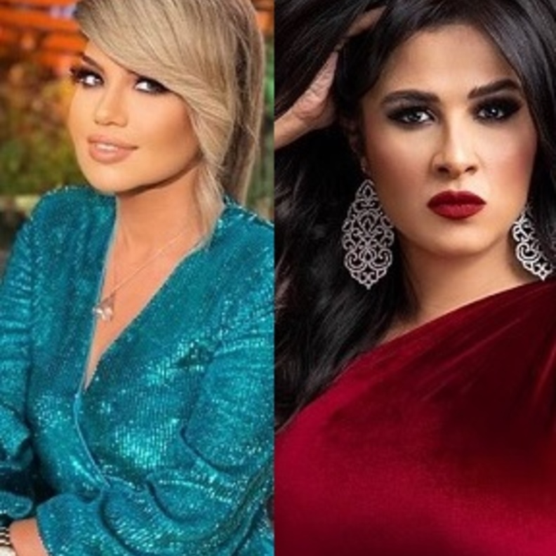 ياسمين عبد العزيز وبوسي شلبي