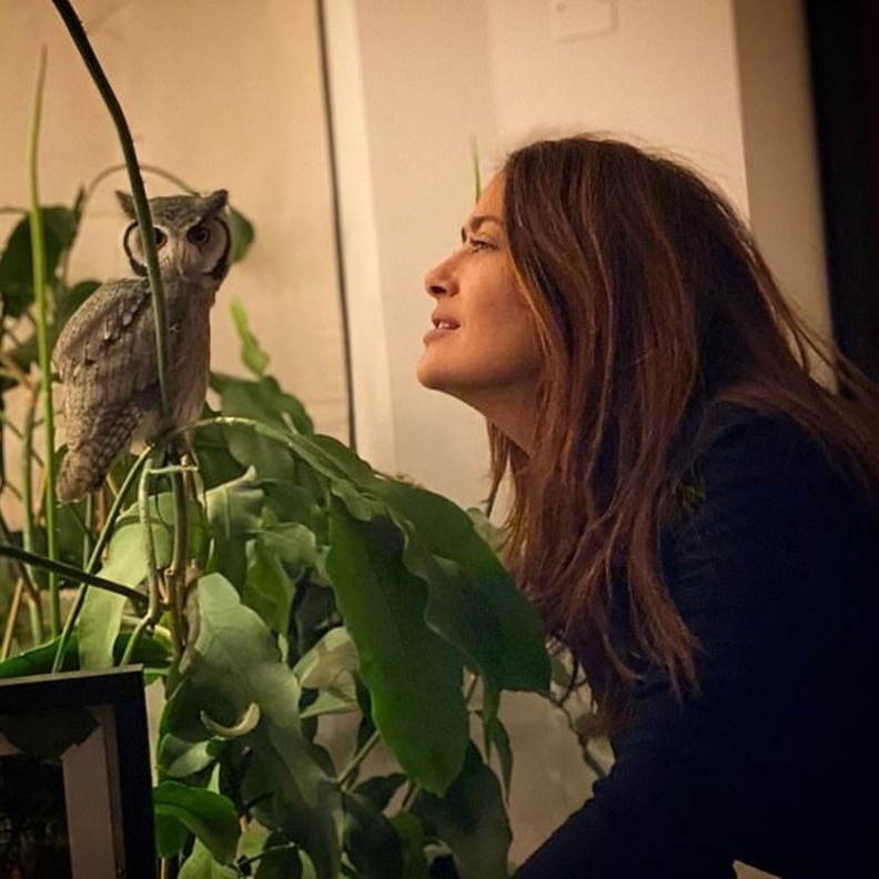 سلمى حايك تكشف يومياتها الطريفة مع "صديقتها" البومة