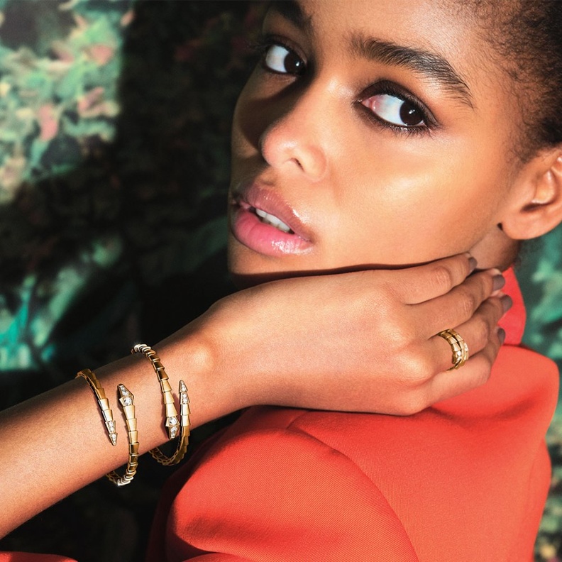 صورة من بولغري Bvlgari