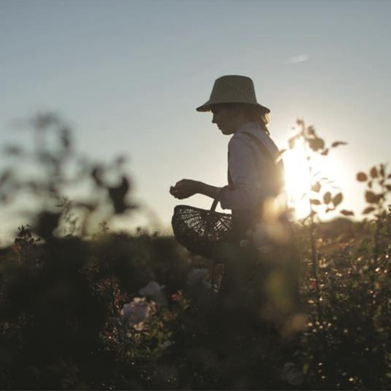 Parfums CHRISTIAN DIOR.. ليكن الجمال بصمتك