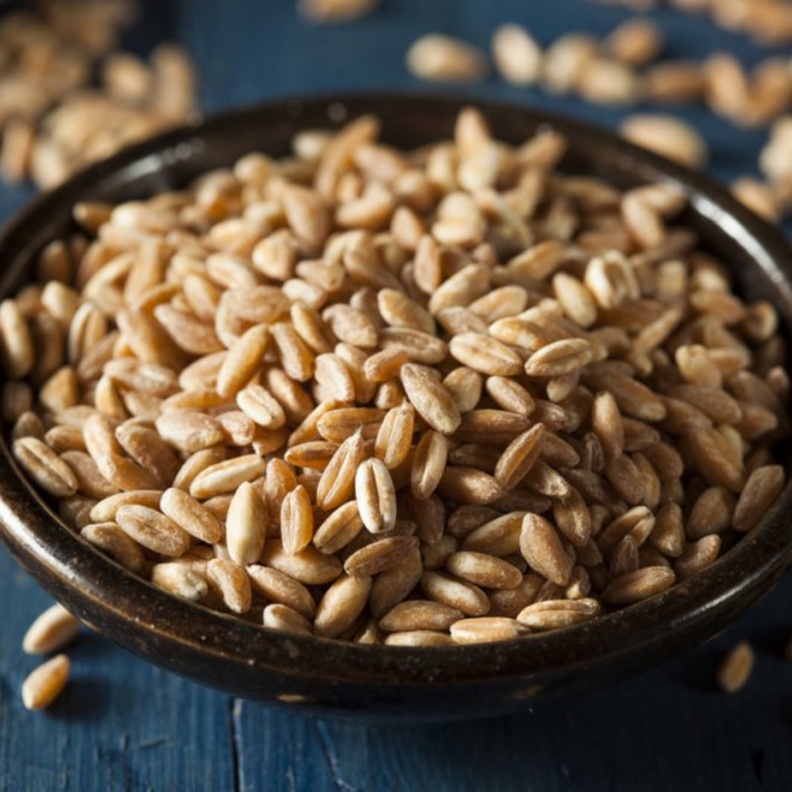 ماهو قمح الفارو وما فوائده الصحية