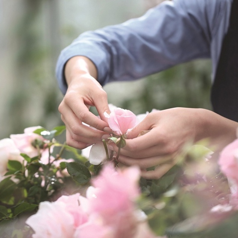 معرض Dior In Roses