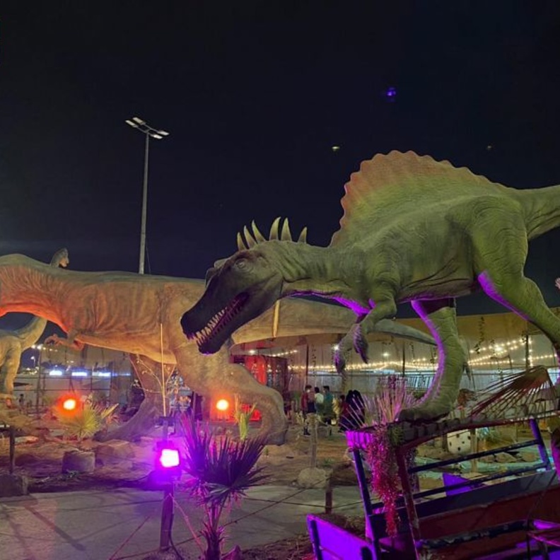 حديقة الملك فهد المركزية.. وجهة مثالية للاستجمام والترفيه في المدينة المنورة - المصدر وكالة الأنباء السعودية