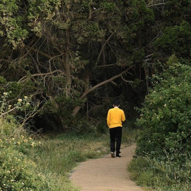 منتزه السودة في عسير.. أجواء معتدلة وطبيعة خلابة تأسر قلوب الزوار- المصدر روح السعودية