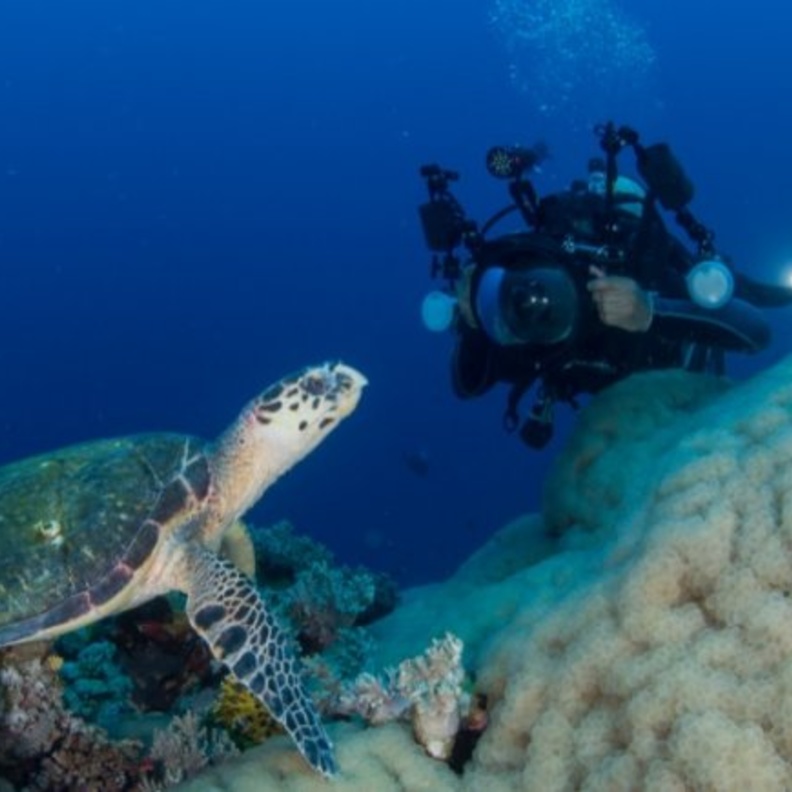ينبع.. لؤلؤة البحر الأحمر والوجهة الأجمل لعشاق الغوص -الصورة من روح السعودية