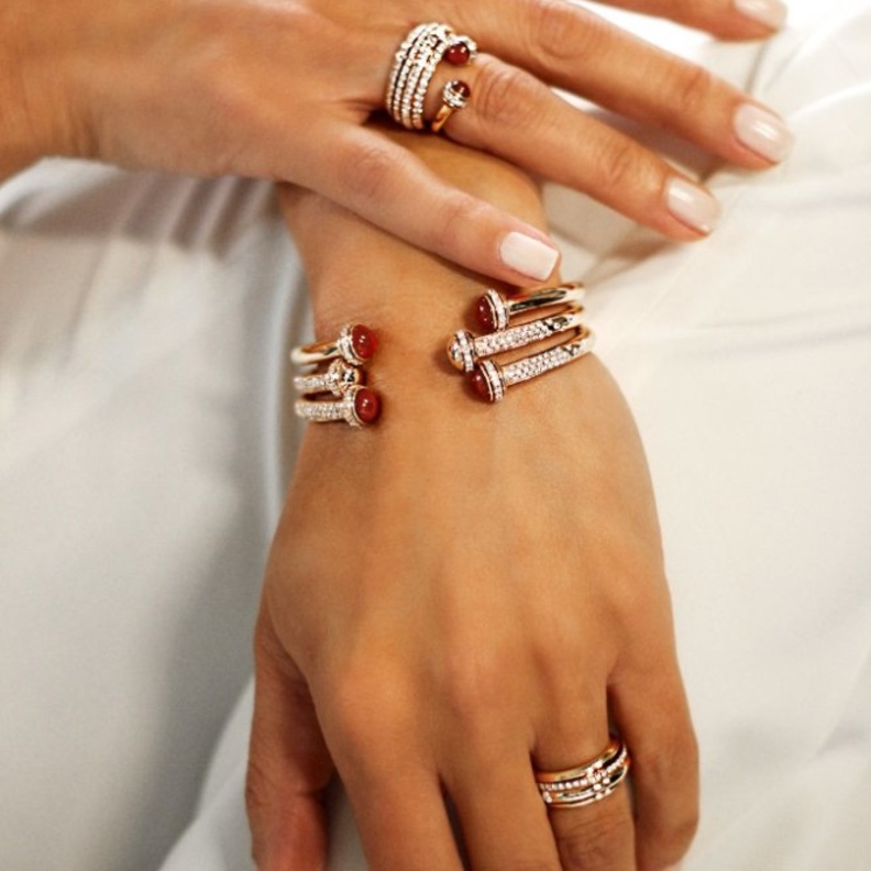 صورة من بياجيه Piaget