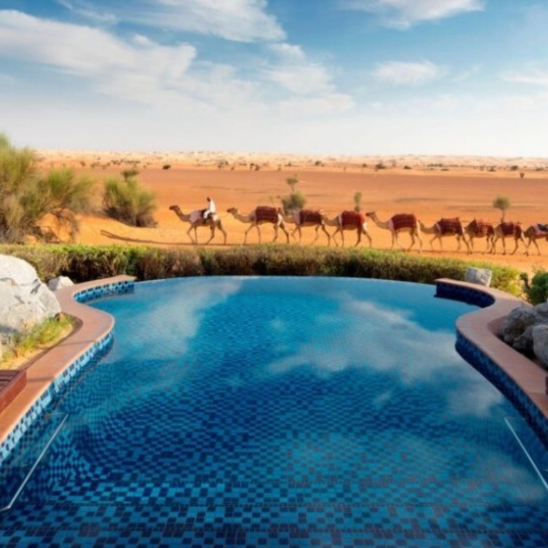 منتجع وسبا المها الصحراوي.. تجربة سياحية حالمة في قلب صحراء دبي