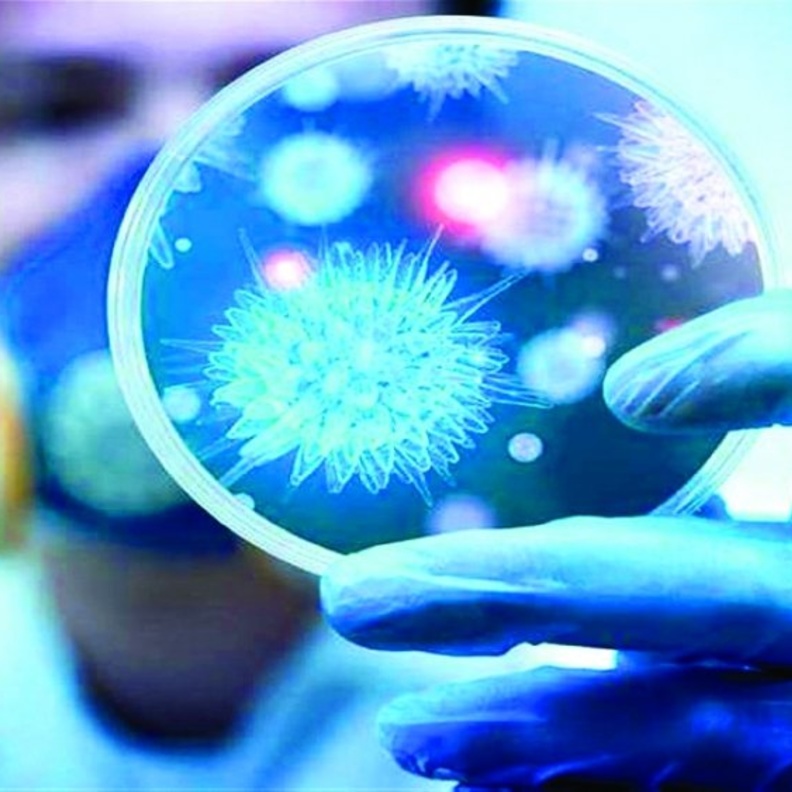 مبادرة صحية جديدة في أبوظبي للتقصي الوبائي-مصدر الصورة البيان