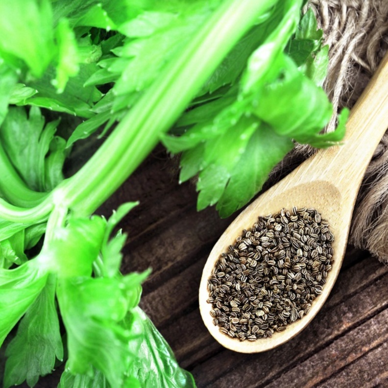 رئيسية فوائد بذور الكرفس الصحية