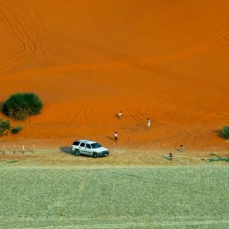  المساحات الخضراء تغطي أنحاء منتزه الشفا البري الصورة من وكالة الأنباء السعودية