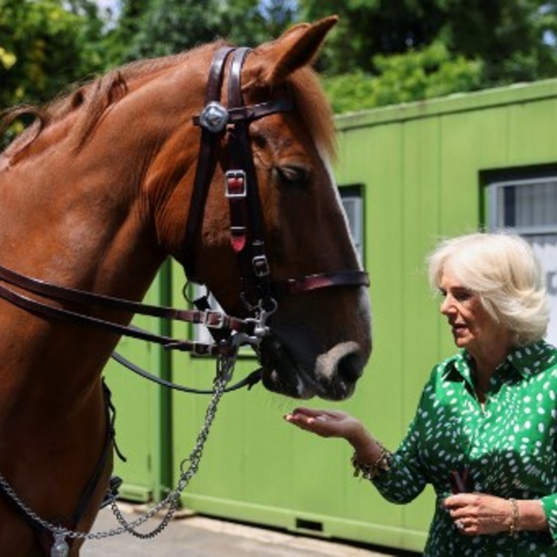 كاميلا دوقة كورنوال تتسلم منصب جديد.. فما هو؟