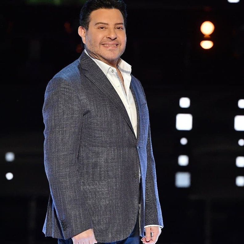 الفنان هاني شاكر 