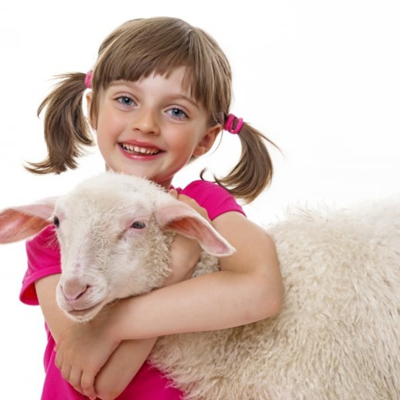 ما هي أفضل طريقة لشرح فكرة الأضحية للأطفال