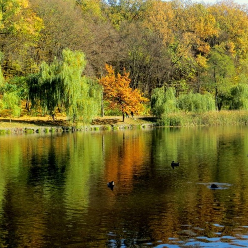 الطبيعة الخلابة في كييف أوكرانيا بواسطة pxhere