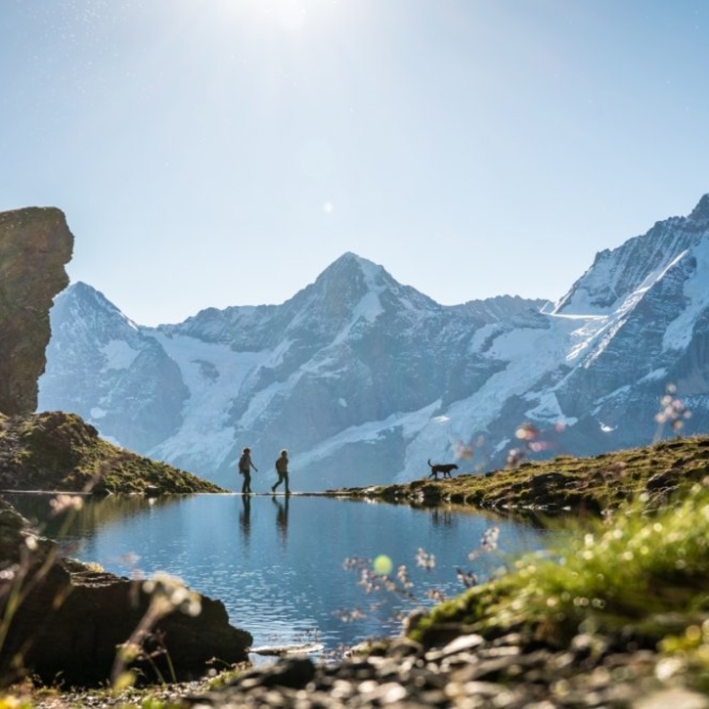 Muerren_Wandern mit Hund Grauseeliجاذبية الطبيعة لا تقاوم في سويسرا