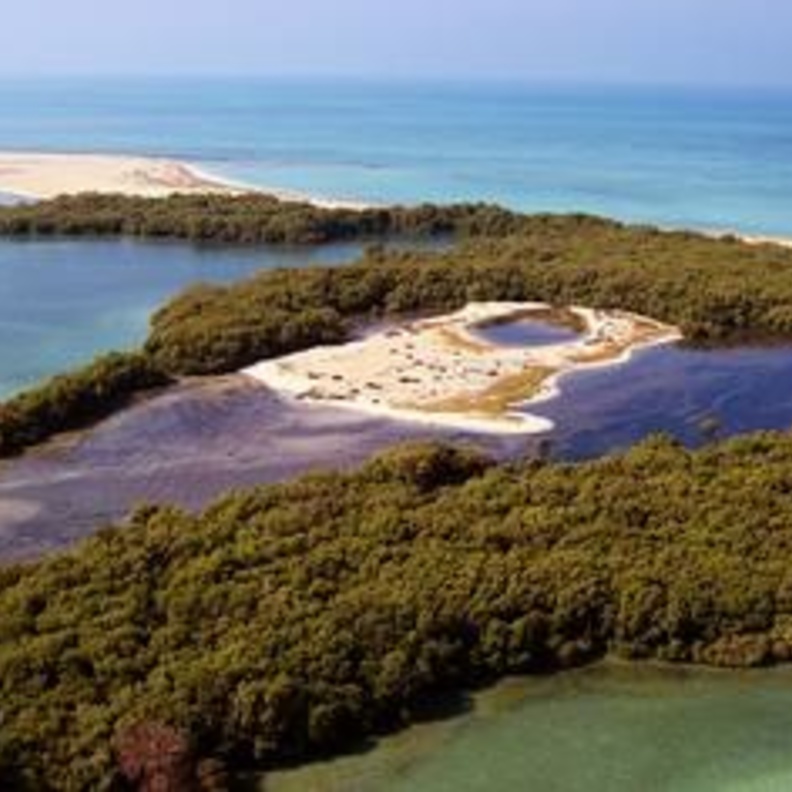 سحر الطبيعة البكر في  جزيرة بوطينة- المصدر تويتر 