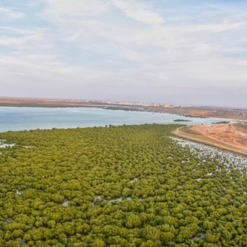 حتا وادي هب - المصدر وكالة أنباء الإمارات