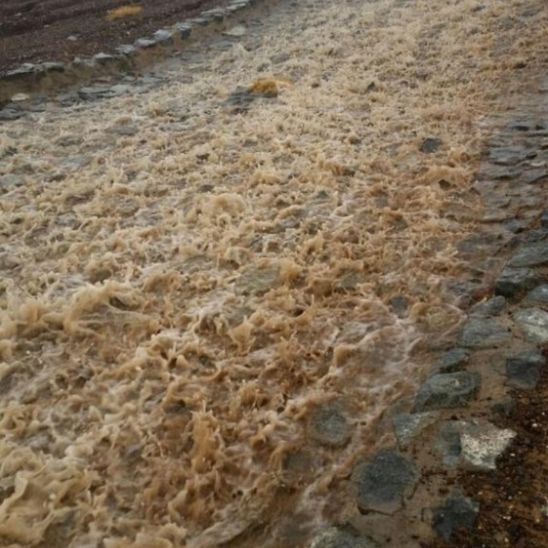 سقوط أمطار الخير وجريان الأودية في الأمارات