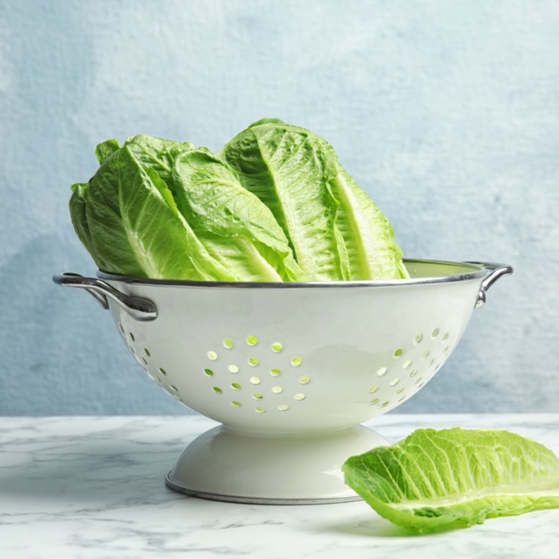 فوائد الخس لصحة الجسم والجهاز المناعي