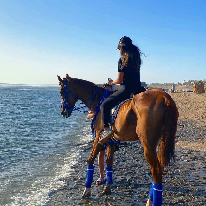 ركوب الخيل في الوجه - المصدر حساب انستقرام @the.wander.er 