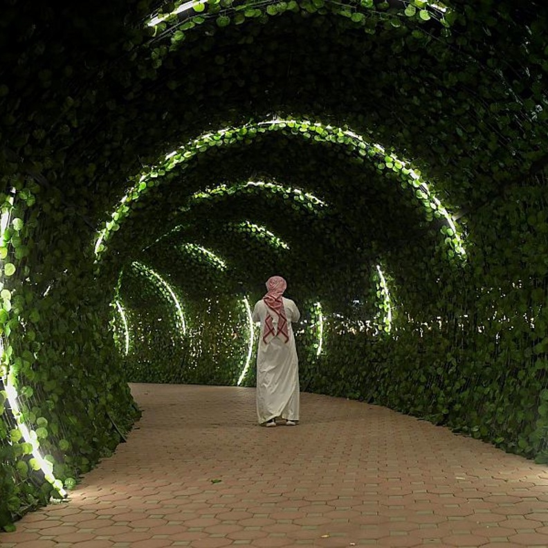  مسارات مميزة للزوار في حديقة الفيصليلة - المصدر وكالة الأنباء السعودية 