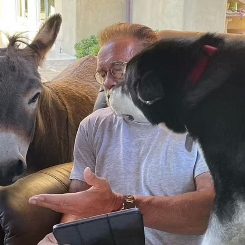 رنولد شوارزنيجر _ الصورة من حساب أرنولد شوارزنيجر على إنستجرام