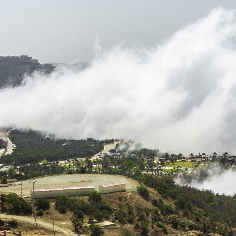 غابة رغدان.. أجواء الطبيعة الساحرة تعانق قمم الجبال في الباحة - المصدر وكالة الأنباء السعودية 
