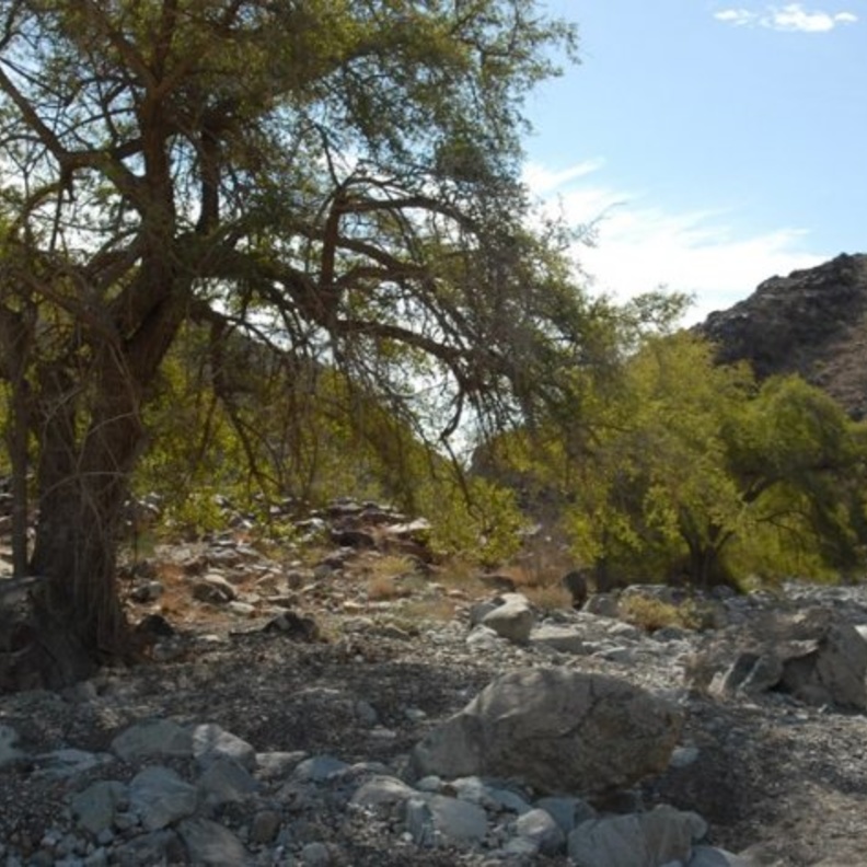 أجواء ساحرة لعشاق المغامرة في منطقة النحوه - المصدر زوروا الشارقة