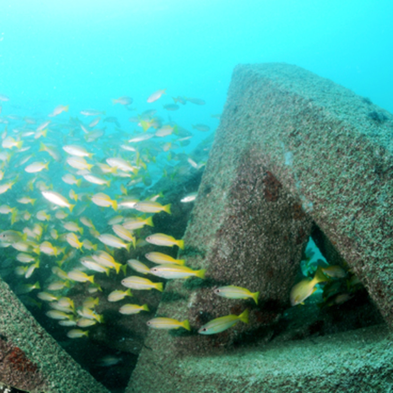 المحميات البحرية في الفجيرة.. أنشطة متنوعة لعشاق البحر والهواء العليل - المصدر وكالة أنباء الإمارات 