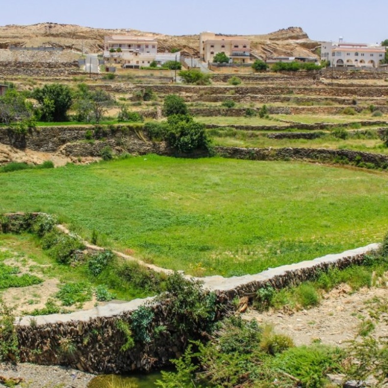 المساحات الخضراء في عسير - المصدر شاترستك