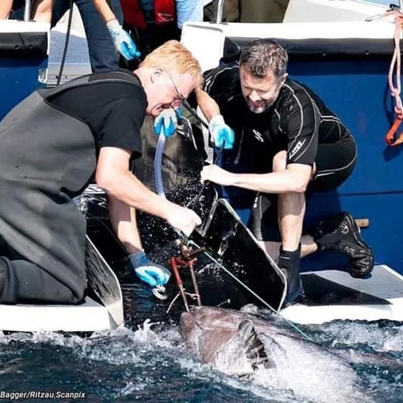 الأمير فريدريك يتفقد سمكة تونة زرقاء في أحدث مهماته الرسمية